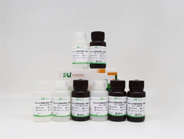 Kit de coloração tricrômico Masson Biochannel 50mL